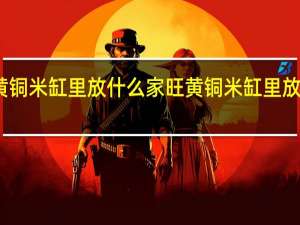 黄铜米缸里放什么家旺 黄铜米缸里放啥家旺