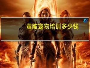 黄陂宠物培训多少钱