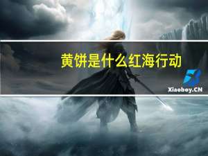 黄饼是什么 红海行动