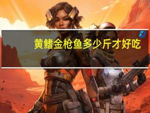 黄鳍金枪鱼多少斤才好吃（黄鳍金枪鱼多少钱一斤）