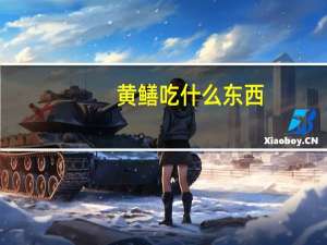 黄鳝吃什么东西