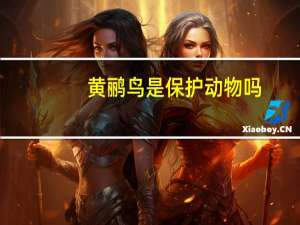 黄鹂鸟是保护动物吗