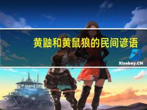 黄鼬和黄鼠狼的民间谚语（黄鼬和黄鼠狼的区别）