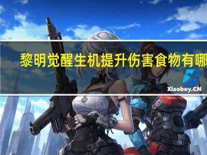 黎明觉醒生机提升伤害食物有哪些-黎明觉醒生机提升伤害食物介绍