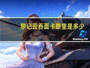 黎记 云吞面卡路里是多少