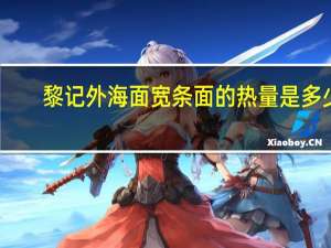 黎记外海面 宽条面的热量是多少
