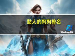 黏人的狗狗排名