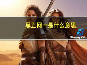 黑五网一是什么意思（黑五仁月饼）