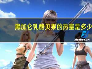 黑加仑乳酪贝果的热量是多少