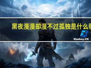 黑夜漫漫却漫不过孤独是什么歌（黑夜慢慢却慢不过孤独是什么歌）