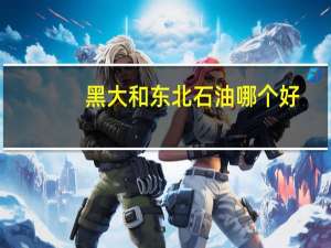 黑大和东北石油哪个好