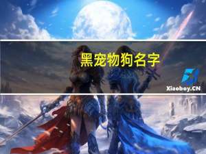 黑宠物狗名字