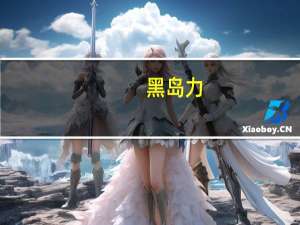 黑岛力（关于黑岛力的介绍）