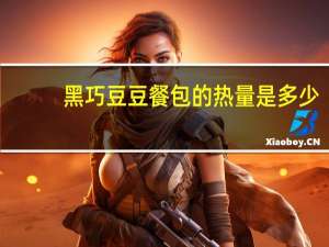 黑巧豆豆餐包的热量是多少