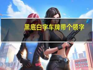 黑底白字车牌带个领字（黑底白字车牌）