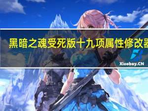 黑暗之魂受死版十九项属性修改器 V1.0 绿色版（黑暗之魂受死版十九项属性修改器 V1.0 绿色版功能简介）