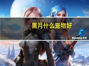 黑月什么宠物好