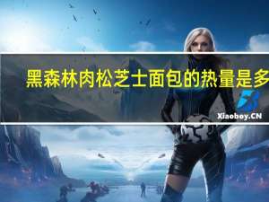 黑森林 肉松芝士面包的热量是多少
