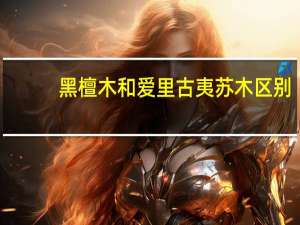 黑檀木和爱里古夷苏木区别