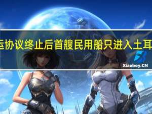 黑海粮食外运协议终止后首艘民用船只进入土耳其博斯普鲁斯海峡