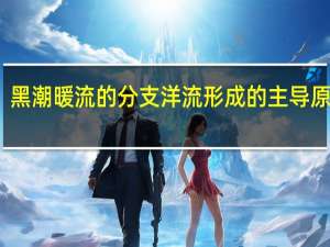 黑潮暖流的分支洋流形成的主导原因是（黑潮暖流）