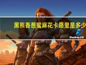 黑熊 香葱蜜麻花卡路里是多少