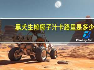 黑犬 生榨椰子汁卡路里是多少