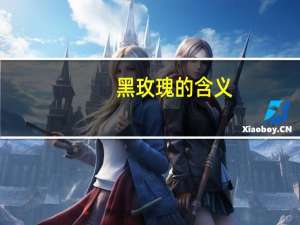 黑玫瑰的含义