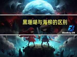 黑珊瑚与海柳的区别