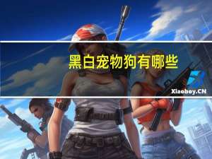 黑白宠物狗有哪些