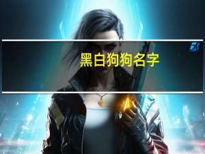 黑白狗狗名字