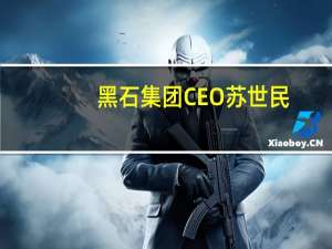 黑石集团CEO苏世民：预计企业将减少办公空间办公地产市场将会有一个非常糟糕的结局
