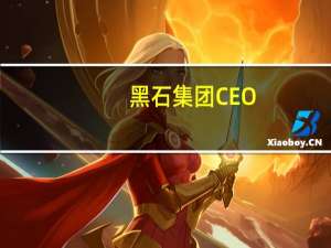 黑石集团CEO：欧洲的通胀水平仍然相当高