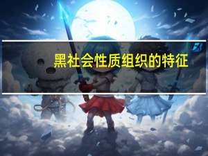 黑社会性质组织的特征