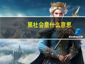 黑社会是什么意思