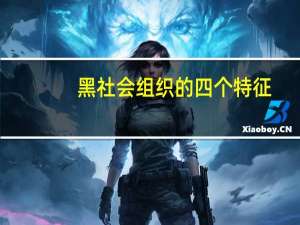黑社会组织的四个特征