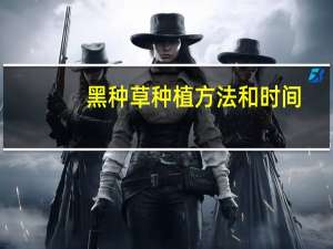 黑种草种植方法和时间
