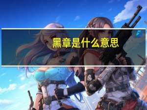 黑章是什么意思