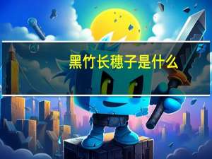 黑竹长穗子是什么