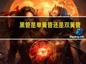 黑管是单簧管还是双簧管