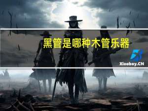 黑管是哪种木管乐器（黑管是哪种木管乐器）