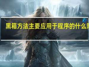 黑箱方法主要应用于程序的什么阶段（黑箱方法）