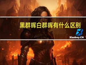 黑群晖白群晖有什么区别