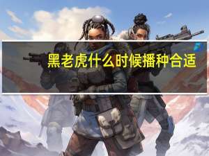 黑老虎什么时候播种合适
