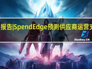 黑胡椒市场采购情报报告| SpendEdge预测 供应商运营支出的增加将影响采购支出