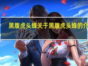 黑腹虎头蜂 关于黑腹虎头蜂的介绍