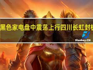 黑色家电盘中震荡上行四川长虹封板涨停