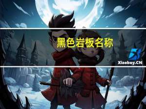 黑色岩板名称