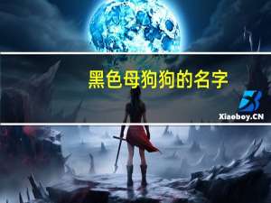 黑色母狗狗的名字