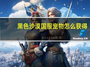 黑色沙漠国服宠物怎么获得